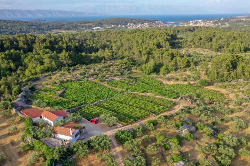 Pitve House | Holiday house with a parking space Pitve, Hvar - 17397