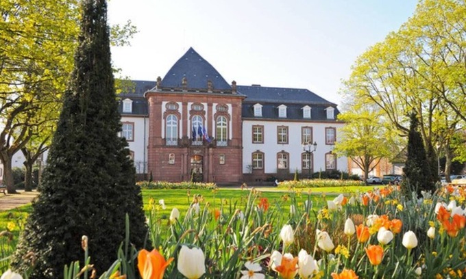 Haguenau Apartment | Homerez - Nice apartement for 2 ppl. with terrace at Haguenau