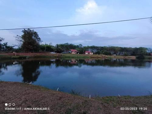 Kampung Banggol Besi House | Homestay D'kolam