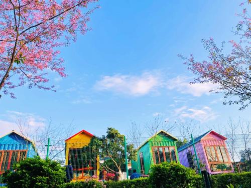 Moc Chau Apartment | Homestay Gió Mộc
