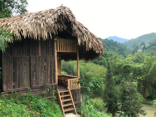 Thong Nguyen Cabin | Homestay Khoáng nóng Thông Nguyên