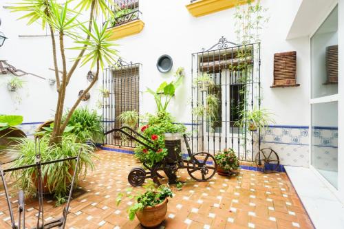 Trigueros House | Hostal Ciudad Trigueros
