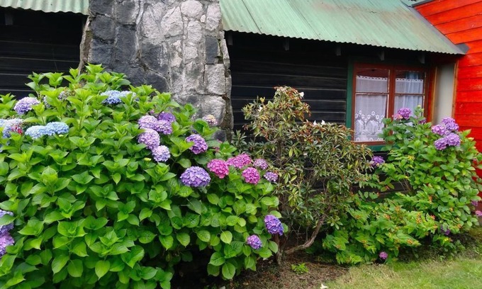 Pucon Hostel | Hostal La Maison