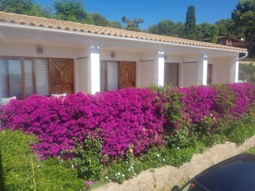 Aiguablava Hotel | Hostal Ondina