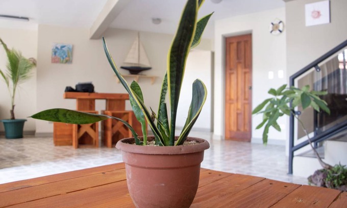 Villa Bonita Hostel | Hostel ∙ 8 guests