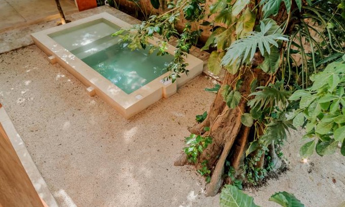 Chichen Itza - Valladolid Hostel | Hostel ∙ 8 guests