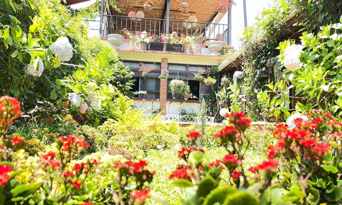 Coban Hostel | Hotel Casa Chapultepec - Hostel