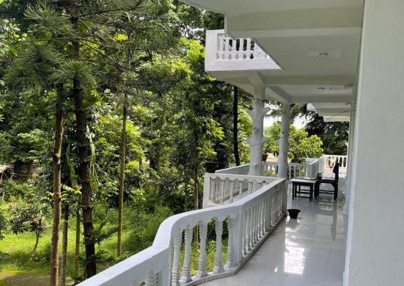Sauraha Hotel | Hotel Misty Nepal