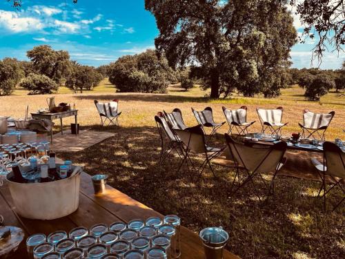 Torrico Hotel | Hotel Valdepalacios Gourmand 5* GL