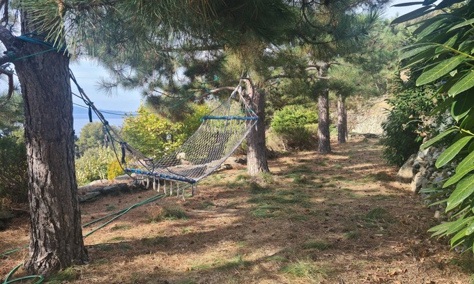 Nonza House | House in the heart of nature, 5 minutes from the beach