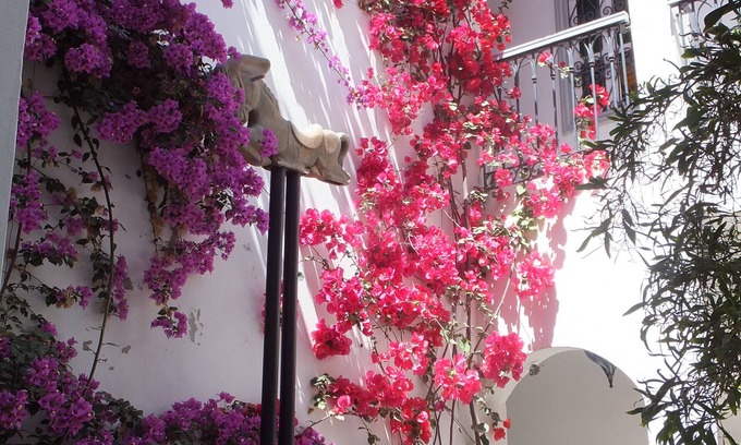 Bizerte House | House in the medina of Bizerte