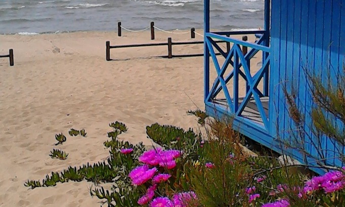 Piombino House | House just steps from the beach Mortelliccio away!