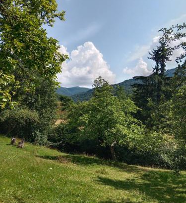 Nyzhnje Selyshche Apartment | House Menchul