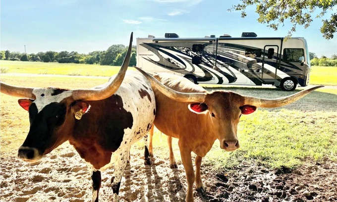 Elgin House | Howdy RV - 2023 Luxury Motor Coach - Sleeps 10