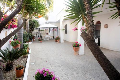 Casalabate Bed & Breakfast | I Cocus Bed and Breakfast