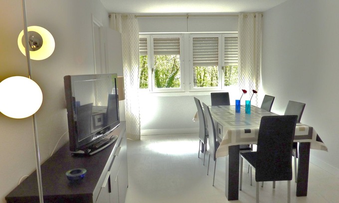 Blois Apartment | IDEAL TO VISIT THE CASTLES OF LOIRE BLOIS /AMBOISE /large apartment