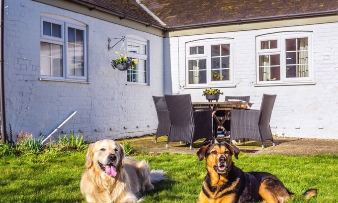 Irstead Cottage | Idyllic Cottage - Detached, Private Garden, Dog Friendly - 2 Ensuite Bedrooms.