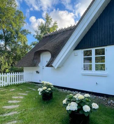 Udsholt House | Idyllic Thatched Cottage Near Udsholt Strand