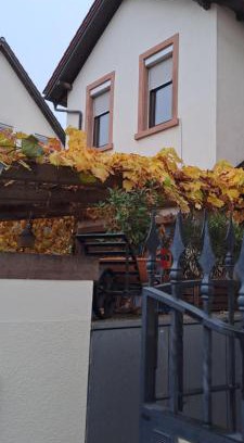 Handschuhsheim Apartment | Idyllisches Witch'sHäuschen