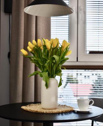 Zamosc Apartment | IGIS Apartament z tarasem na dachu