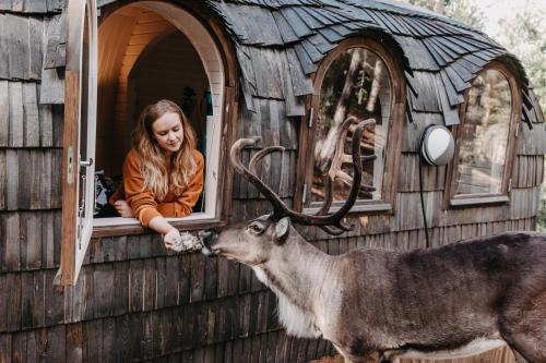 Espoo House | Igluhut – Sleep with reindeer