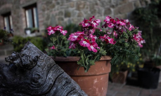 Civitella in Val di Chiana Bed & Breakfast | Il Borgo di Gebbia b&b
