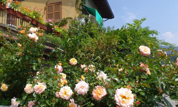 Olgiate Molgora Bed & Breakfast | Il Giuggiolo