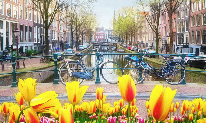 Museum Quarter Apartment | In the tree lined streets of Amsterdam-A stones throw from Vondelpark