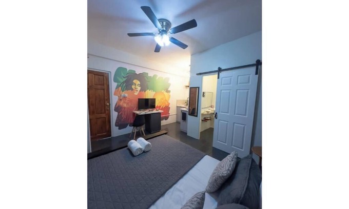Bois d'Orange Apartment | Irie Heights Reggae Studio