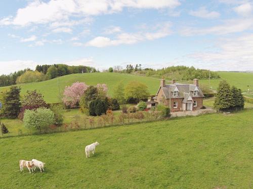 Kirriemuir House | Islabank Farmhouse - Saap
