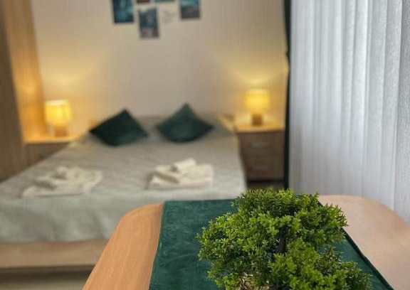 Odorheiu Secuiesc Apartment | Island apartman