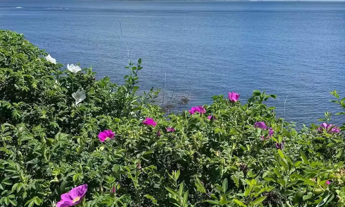 Portsmouth House | Island Breeze Cottage