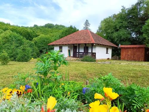 Turya Paseka House | IT-Hutorok