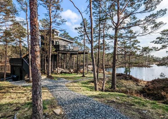 Iveland House | Iveland Tree Top Panorama - Furukrona