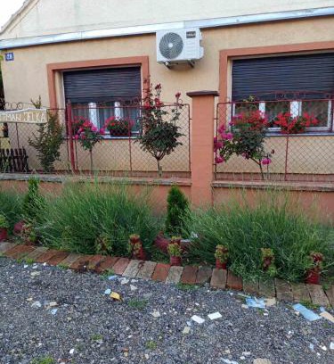 Sremski Karlovci Apartment | Jelka