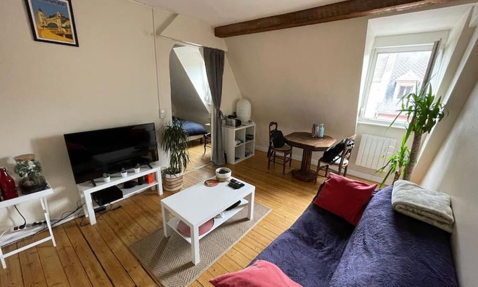 Krutenau Apartment | Joli 2 pièces - Krutenau Austerlitz