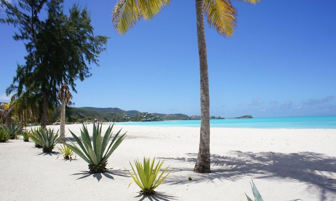 Jolly Harbour Cottage | Jolly Harbour -- Beachfront Property, 1 BR, 1 Bth, Wifi, garden path to beach