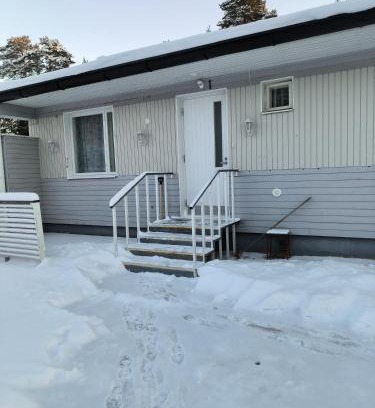 Pudasjarvi House | Joutsen