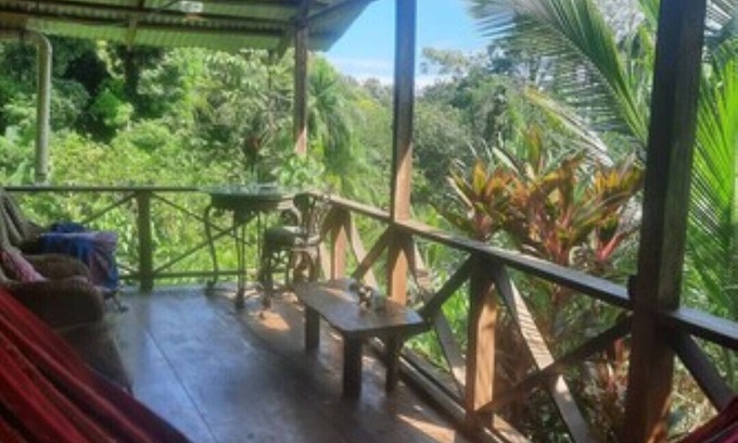 Isla Bastimentos Apartment | Jungle Cabin, with ocean views, monkeys and sloths 5 min walk to amenities