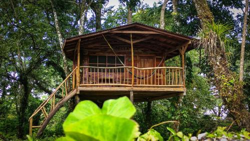 Matagalpa Bed & Breakfast | Jungle Cabins El Escondido