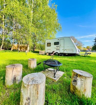 Pacejov Cabin | Karavan v březovém háječku