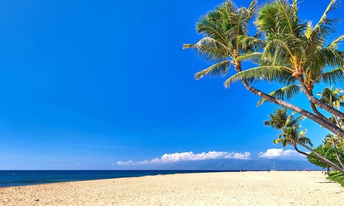 Honokowai Condo | KBM Resorts | Spacious 3-Bedroom Honua Kai Collection | Multi Unit Listing | Same Floor | 2 Free Rental Cars! HKK-706/30