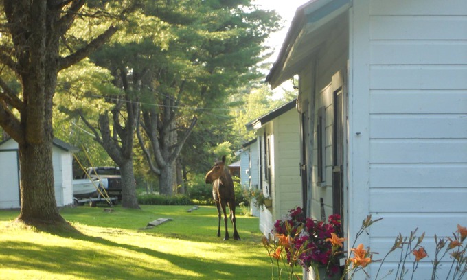 Brookton Cottage | Kelsey's Cottage on Jackson Brook Lake in Brookton Maine
