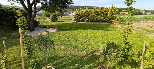 Dechtice Other | Kempovacie miesto v Starej Záhrade - Camping site