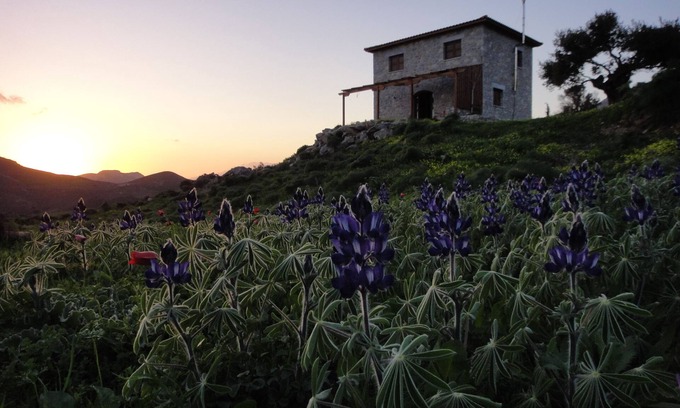 Kerames House | Kerames South Crete - Akonize stone house