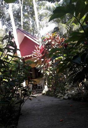 Khlong Sok House | Khao Sok Holiday Resort