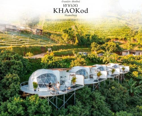 Pong Yaeng Other | Khaokod Homestay
