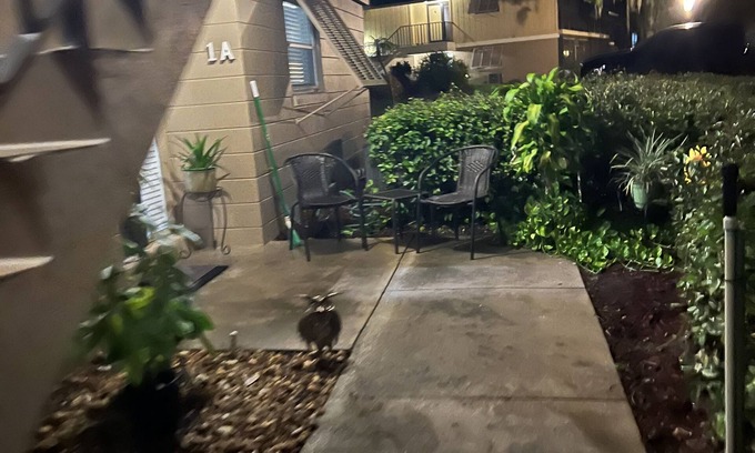 Deltona Lakes Condo | Kick of your boots it’s Fun time!