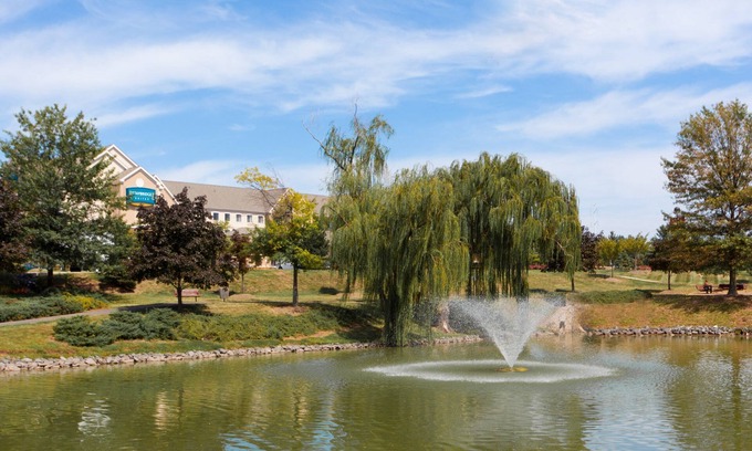 Chantilly Condo | King Suite Near IAD | Free Breakfast + Shuttle to Airport + Corporate Area