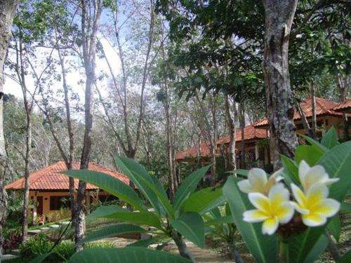 Ko Mook Resort | Koh Mook Rubber Tree Bungalows
